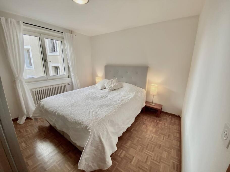 Comfortable, Very Well Located Between Train Station And Lake! Лозана Екстериор снимка